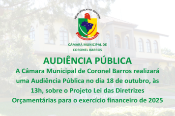 Audiência Pública