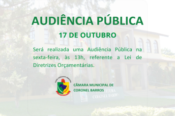 Audiência Pública